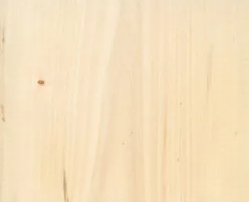 Tiglio