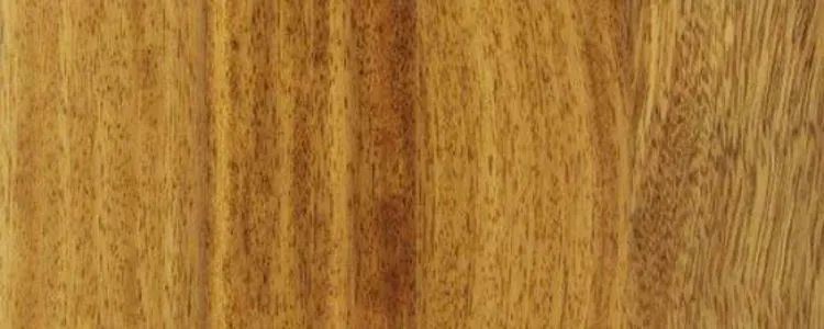 Iroko